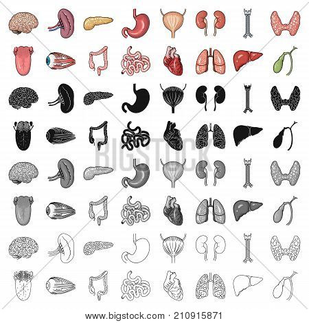 Human organs set icons in cartoon design. Big collection of human organs vector symbol stock illustration