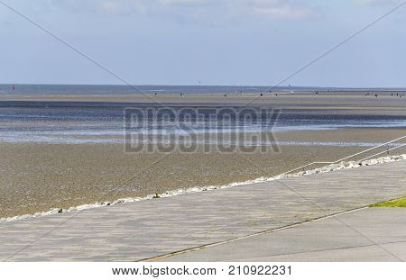 coastal scenery around Buesum in Dithmarschen at Schleswig-Holstein Germany