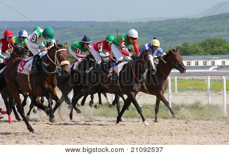 Horse Racing.