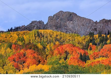 Kebler Pass - Autumn colors create a unique scenic beauty in the Rocky Mountains of Colorado.