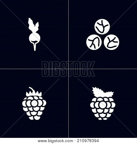 Collection Of Dewberry, Cabbage, Turnip And Other Elements.  Set Of 4 Fruit Icons Set.