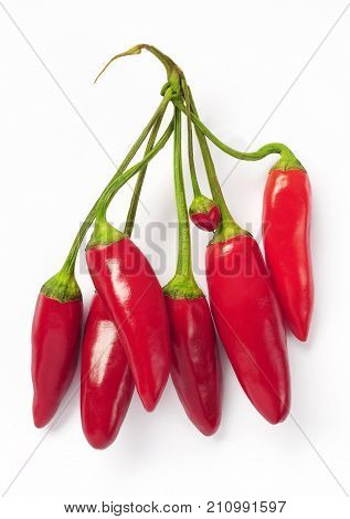 red chili kusburnu isolated over white background