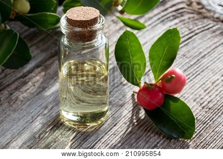 A Bottle Of Wintergreen Essential Oil With Wintergreen Leaves And Berries