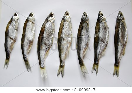 Fish Jerky, On White Background. Taranka Dried. The Group Is Vertically Isolated In A Row. Seafood