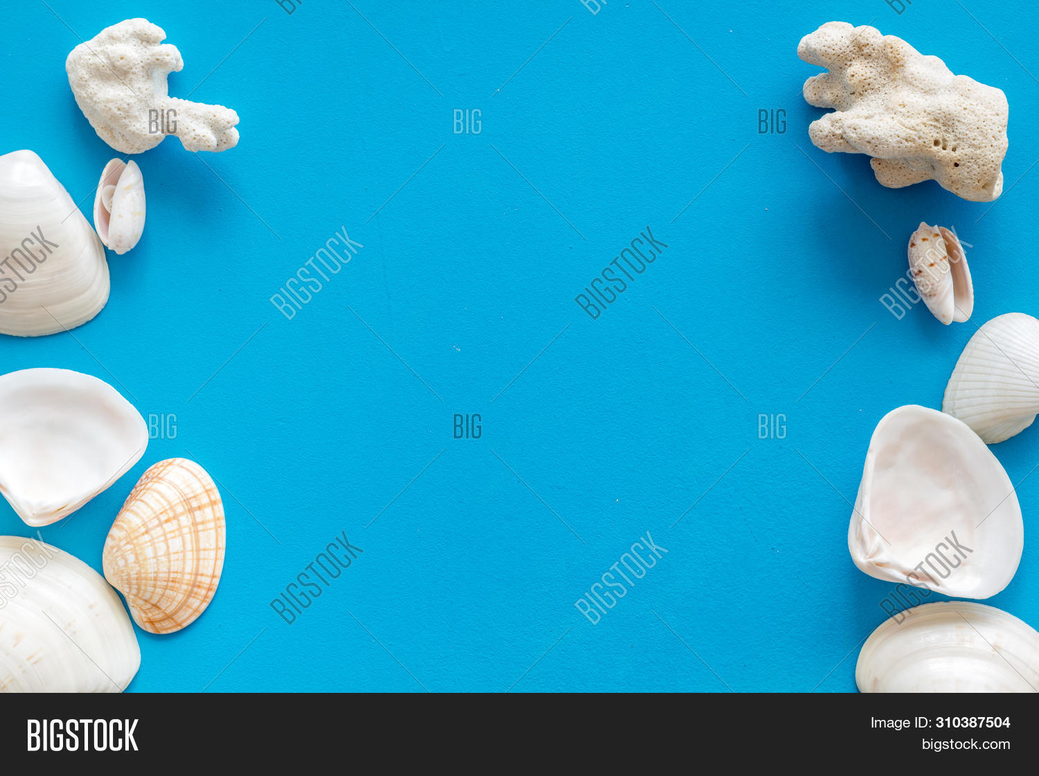 Shells Frame Seaside Image & Photo (Free Trial) | Bigstock