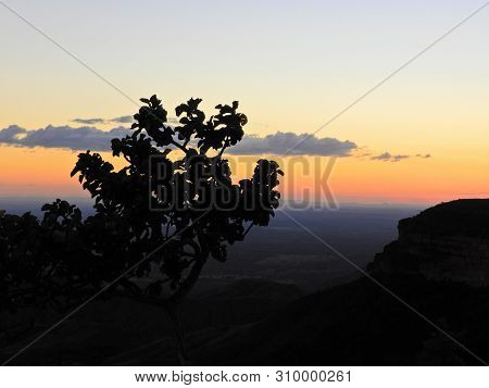 Sunset View At Chapada Dos Guimaraes, Mato Grosso, Brazil. Great Landscape. Travel Destination. Vaca