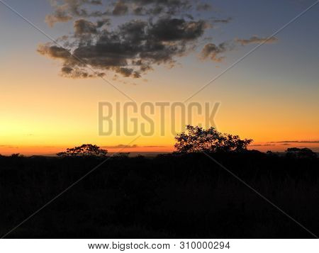 Sunset View At Chapada Dos Guimaraes, Mato Grosso, Brazil. Great Landscape. Travel Destination. Vaca