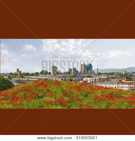 . Bibi Honum From The Wall Afrosiab.weld Flowers Poppies Bloom Brightly In Spring Of Samarkand.