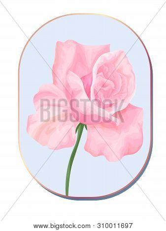 Hand Drawn Pink Rose On The Blue Background.