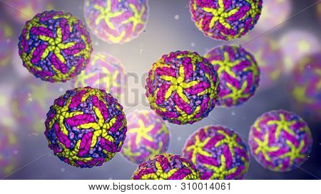 Zika Viruses, The Causative Agent Of Zika Fever, Transmitted By Mosquito Bite And Causes Microcephal