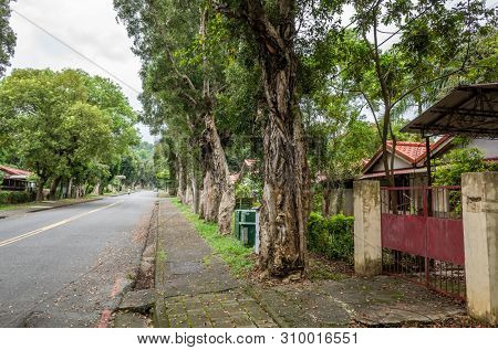 Nantou, Taiwan - June 25th, 2019: street scenery with old house and trees at Zhongxing New Village, Nantou, Taiwan