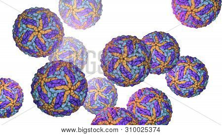 Zika Viruses, The Causative Agent Of Zika Fever, Transmitted By Mosquito Bite And Causes Microcephal