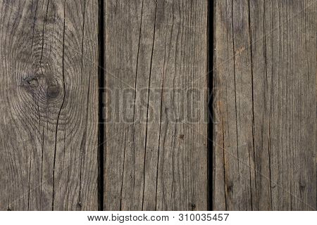 Texture Of A Natural Tree With An Unusual Structure