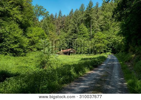 Hike Along The Long-distance Hiking Trail Neckarsteig In Germany