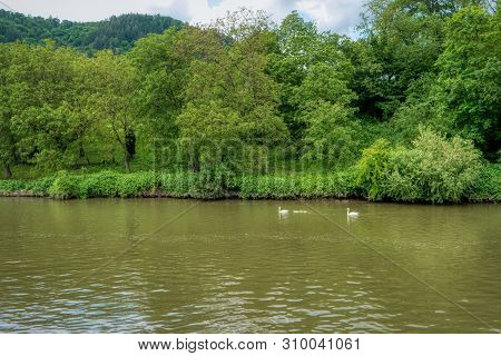 Hike Along The Long-distance Hiking Trail Neckarsteig In Germany