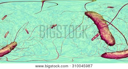 Clostridium Difficile Bacteria, 360 Degree Vr Spherical Panorama View, 3d Illustration. Bacteria Whi