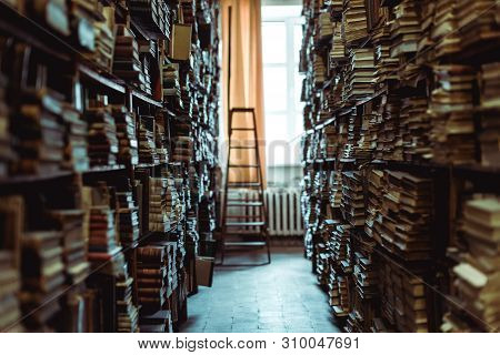Interior Of Library With Books On Wooden Shelves And Ledder