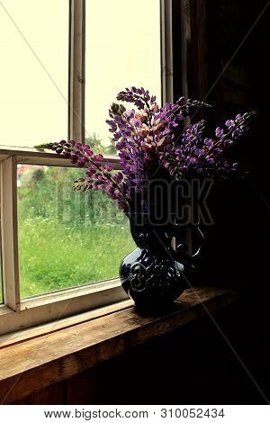 Lupins In A Blue Vase Against The Window In The Evening