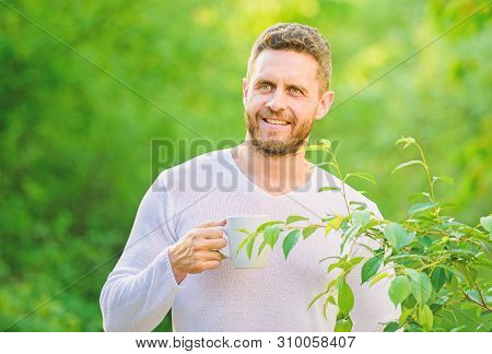 Green Tea Contains Bioactive Compounds That Improve Health. Natural Drink. Healthy Lifestyle. I Pref