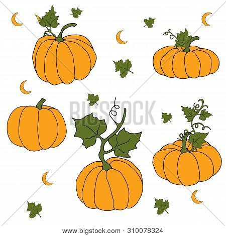 Pumpkin Orange Will Help Create A Mood For The Holiday Of Autumn. Vector Hand Draw  Illustration Set