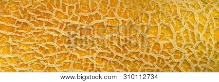 The Cracked Skin Of A Ripe Melon. Abstract Yellow Background. Crackly Old Brown Textures. Close-up. 