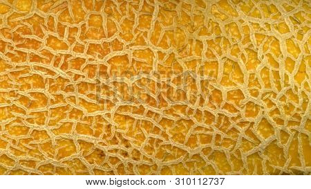 The Cracked Skin Of A Ripe Melon. Abstract Yellow Background. Crackly Old Brown Textures. Close-up. 