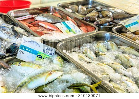 Al Khor, Qatar - February 23, 2019: Close Up Of Horan Fish And Other Fish Typical Of The Indian Ocea