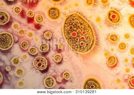 Air Bubbles Inside Water Base Form Patterns