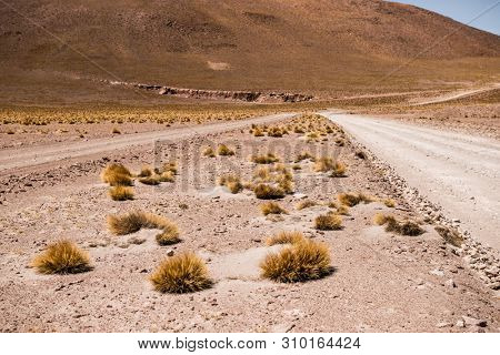 Sunshine view of hot mountanious desert in Bolivia