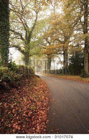 Road Winding Through Foggy Misty Autumn Forest Landscape At Dawn