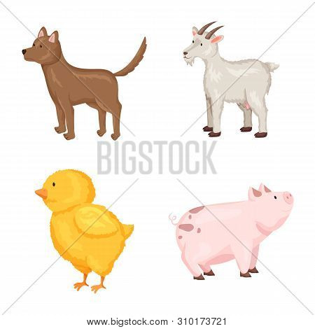Vector Design Of Farm And Food Sign. Set Of Farm And Countryside Vector Icon For Stock.