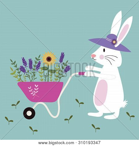 Set Of Gardening Bunny With A Wheelbarrow Full Of Wild Flowers.