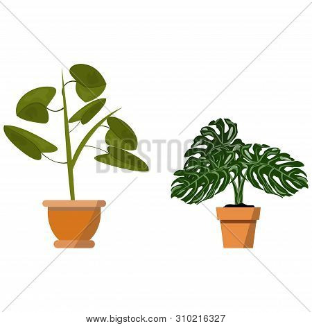 Potted Plants Isolated On White. Vector Set Of Two Green Tropical Plant In Pot Illustration For Inte