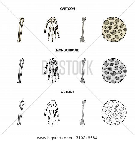 Vector Illustration Of Medicine And Clinic Icon. Set Of Medicine And Medical Vector Icon For Stock.