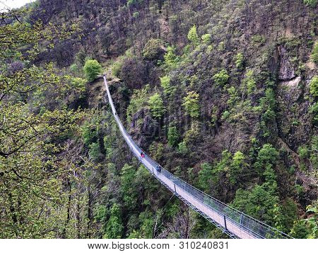 Tibetan Bridge Carasc Or Ponte Tibetano Valle Di Sementina Or Tibetische Brucke Carasc, Monte Carass