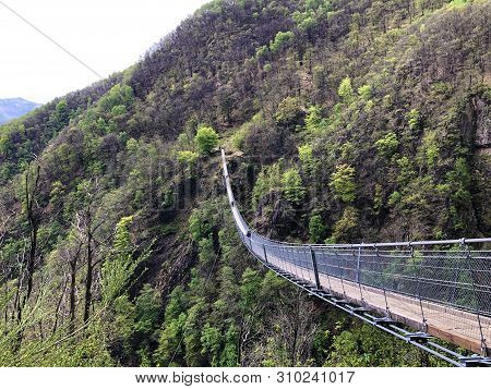 Tibetan Bridge Carasc Or Ponte Tibetano Valle Di Sementina Or Tibetische Brucke Carasc, Monte Carass