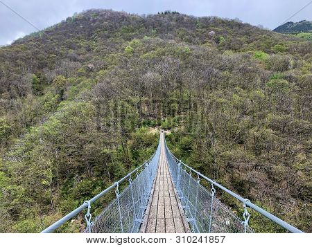Tibetan Bridge Carasc Or Ponte Tibetano Valle Di Sementina Or Tibetische Brucke Carasc, Monte Carass