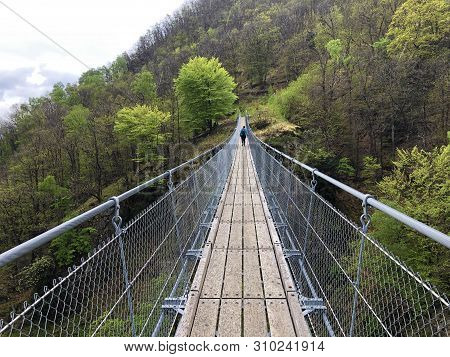 Tibetan Bridge Carasc Or Ponte Tibetano Valle Di Sementina Or Tibetische Brucke Carasc, Monte Carass