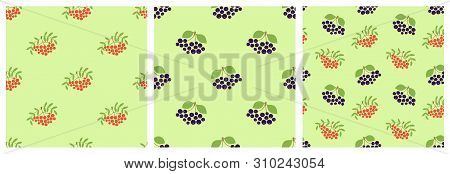 Vector Berries. Mountain Ash, Black Chokeberry And Rowan. Seamless Pattern Set. Natural Fashion Prin
