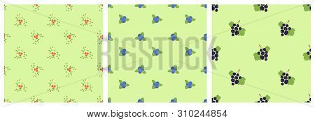 Seamless Pattern. Vector Berries. Natural Fashion Print Set. Mountain Ash, Viburnum, Blueberry And B