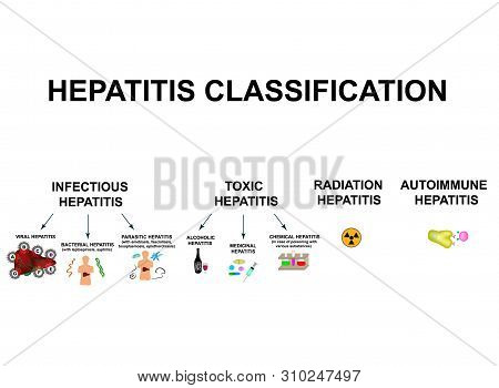 Types Of Viral Hepatitis. Classification Of Hepatitis A, B, C, D, E, F, G. Toxic, Infectious, Autoim