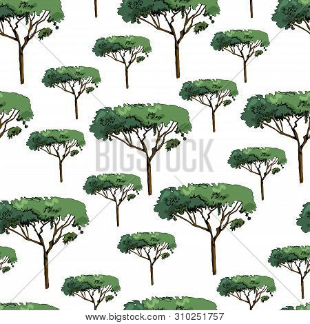 Seamless Pattern With Italian Pines. Ink And Colored Elements Isolated On White Background. Vector I