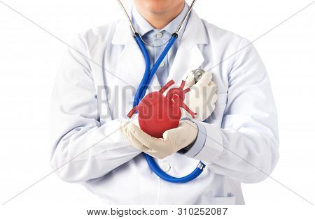 Doctor Hold Heart Listens Heart, Cardiology Symptoms In White Background