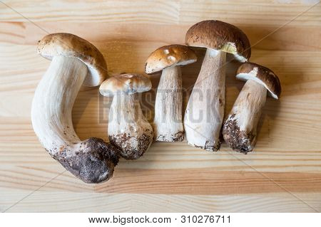 Rustic Food Series Consisting Of Variety Of Food Layered Out On An Old Wood Background.