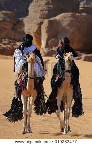 Bedouin Rides On Camel Through Sandy Desert