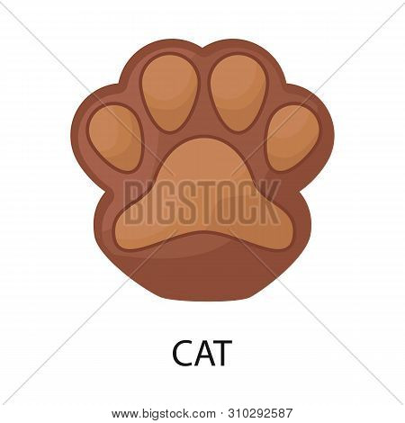 Vector Illustration Of Paw And Cat Symbol. Collection Of Paw And Skin Vector Icon For Stock.