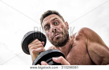 Athletic Body. Dumbbell Gym. Muscular Man Exercising With Barbell. Fitness Health Diet. Sport. Perfe