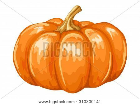 Illustrastion Of Autumn Ripe Pumpkin. Harvest Icon.