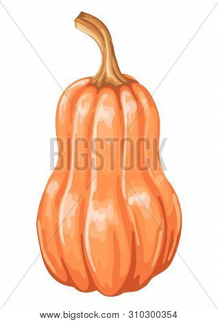 Illustrastion Of Autumn Ripe Pumpkin. Harvest Icon.
