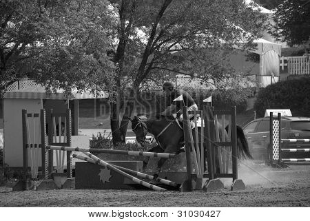 BROMONT INTERNACIONAL